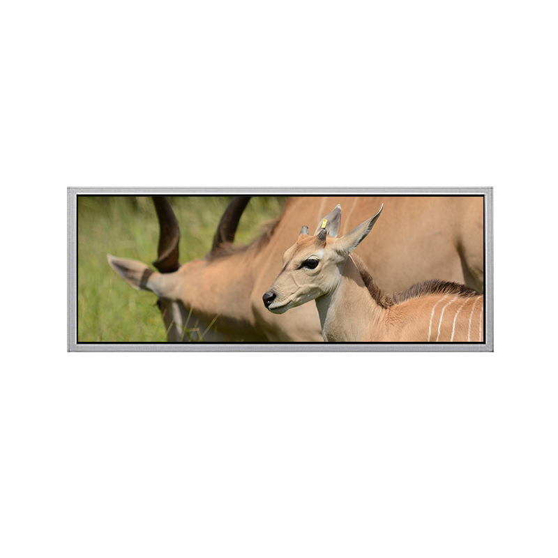 High Definition 39.6 Inch LCD Display Panel 1920XRGBX720 Pixels LVDS Interface Display Screen 500cd/m2 TFT LCD Module