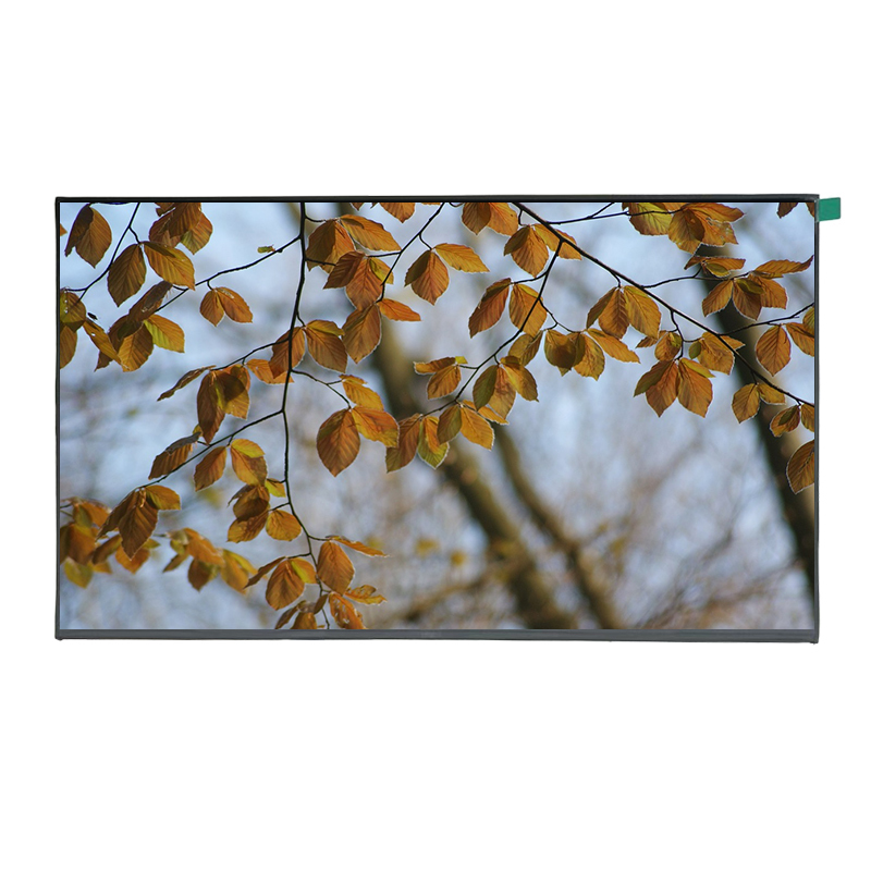 15.6 inch FHD IPS TFT LCD Display 1920*1080 Resolution eDP Interface LCD Module